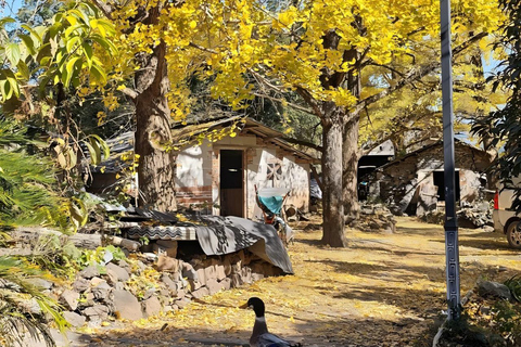 Guilin: Private Ginkgo Village and DaXu Ancient Town Tour