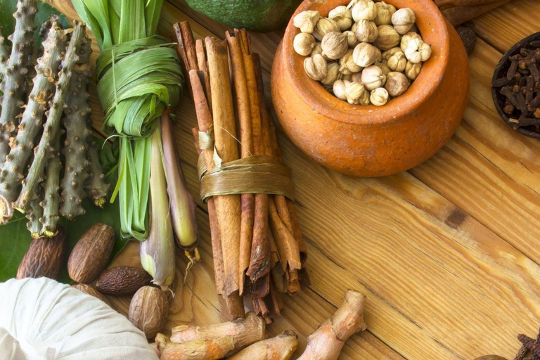 Jaipur: City Tour with Amber Fort & Ayurvedic Massage