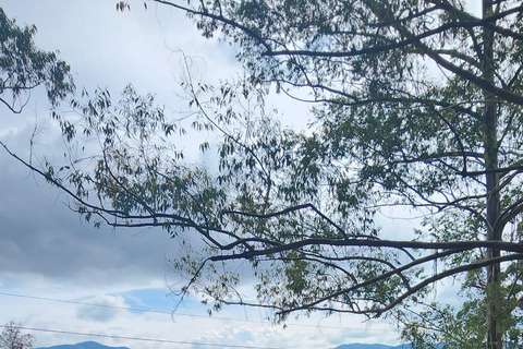 Depuis Medellin : Tour de Guatapé en voiture avec promenade sur le lac Wave Runner