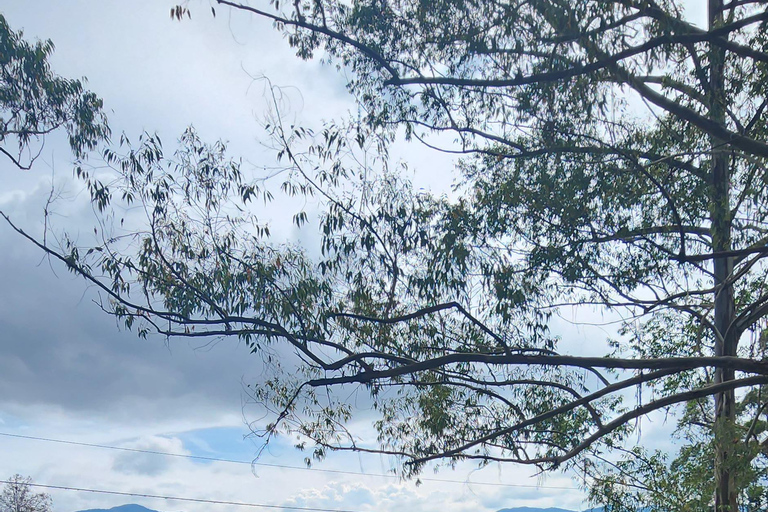 Depuis Medellin : Tour de Guatapé en voiture avec promenade sur le lac Wave Runner