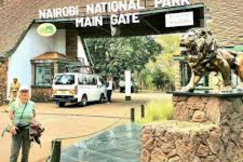 Nairobi National park and Elephant Orphanage Day Trip.