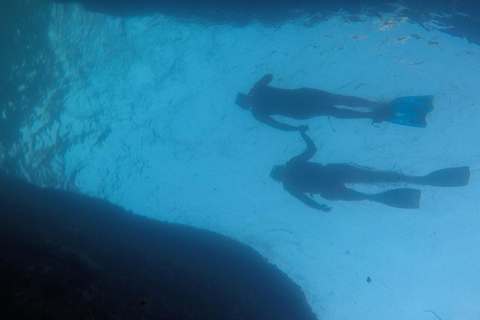 Rio: Schnorcheln & Schwimmen mit Schildkröten Tour auf den Tijuca Inseln3 Stunden Schnorcheln und Schwimmen mit Schildkröten Tour auf den Tijuca Inseln