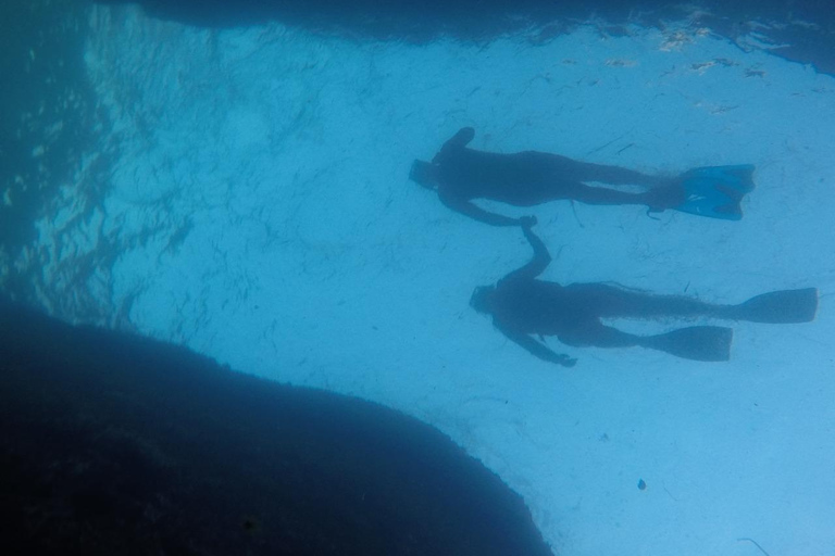 Rio: Schnorcheln & Schwimmen mit Schildkröten Tour auf den Tijuca Inseln3 Stunden Schnorcheln und Schwimmen mit Schildkröten Tour auf den Tijuca Inseln