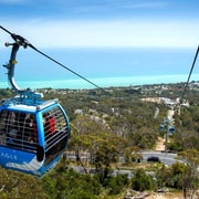 Melbourne: Mornington Peninsula Private Trip include tickets
