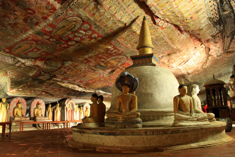 Sigiriya: jednodniowa wycieczka do jaskini Dambulla z Kolombo