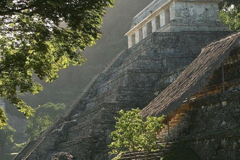 Site archéologique de Palenque depuis Villahermosa ou l'aéroportSite de Palenque+ chutes d'Agua Azul 2024