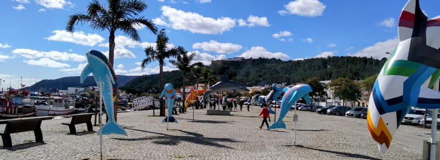 Visite à pied privée de Setúbal : Les charmes hors des sentiers battus