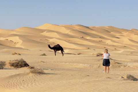 Salalah: Sunset desert safari tour in salalah(private tour) Desert Sunset with Dinner
