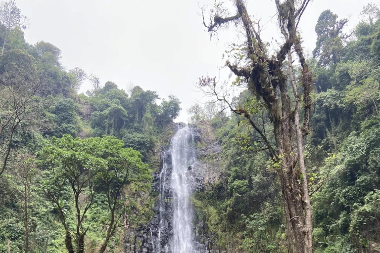 Materuni Waterfalls and Coffee Day Tour