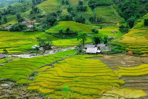 Sapa hermoso campo de arroz, pueblo - Fácil caminar niño,senior