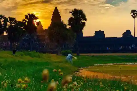 Ciclismo ao nascer do sol no Templo de Angkor Wat
