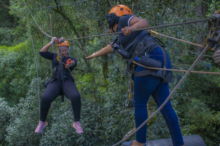 Magaliesberg: Ysterhout Gorge Zipline Crossing with Transfer