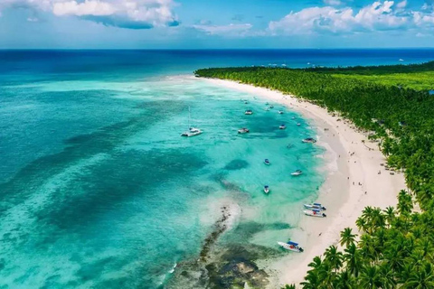 Saona Island Premium Escape: 4 Paradise Beaches and Natural Pool