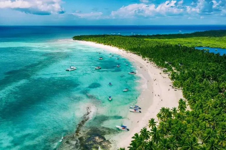 Saona Island Premium Escape: 4 Paradise Beaches and Natural Pool