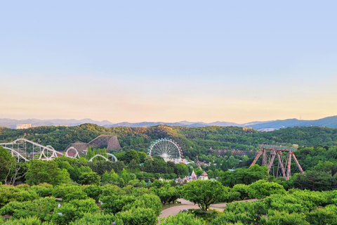 Billet d&#039;entrée au parc d&#039;attractions Everland