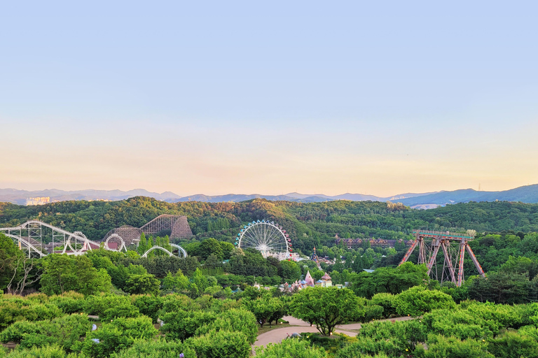 Billet d&#039;entrée au parc d&#039;attractions Everland