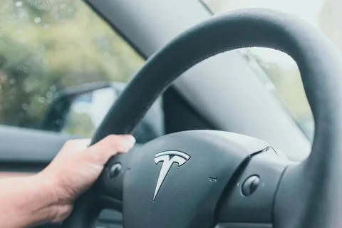 Шэньчжэнь: VIP-трансфер из аэропорта в/из центра города на Tesla