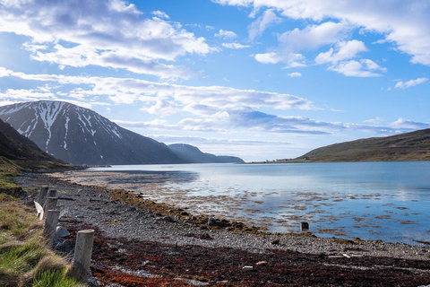 From Tromsø: Experience Vannøya Island Wild, Remote & Real