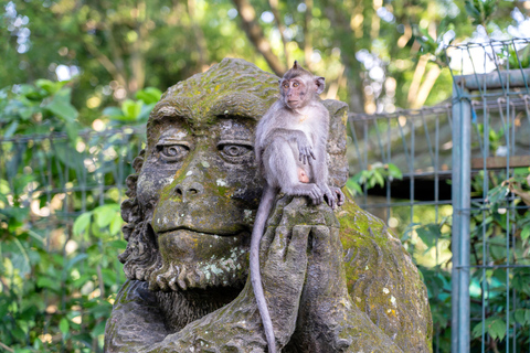 Ubud: Waterfalls, Water Temple, Rice Field and Monkey forest Private Tour NOT include Entrance Ticket