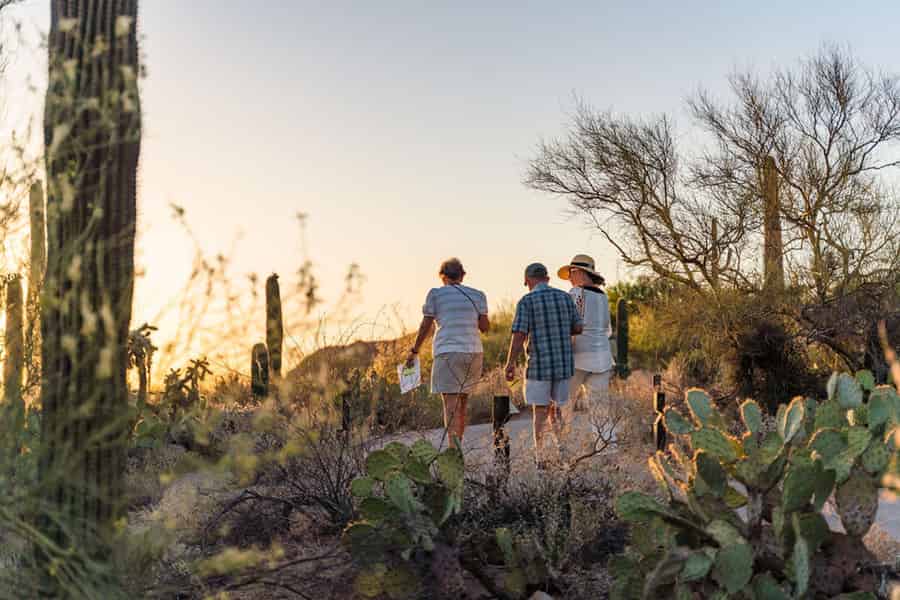 Tucson: Eintrittskarte für das Arizona-Sonora Wüstenmuseum. Foto: GetYourGuide