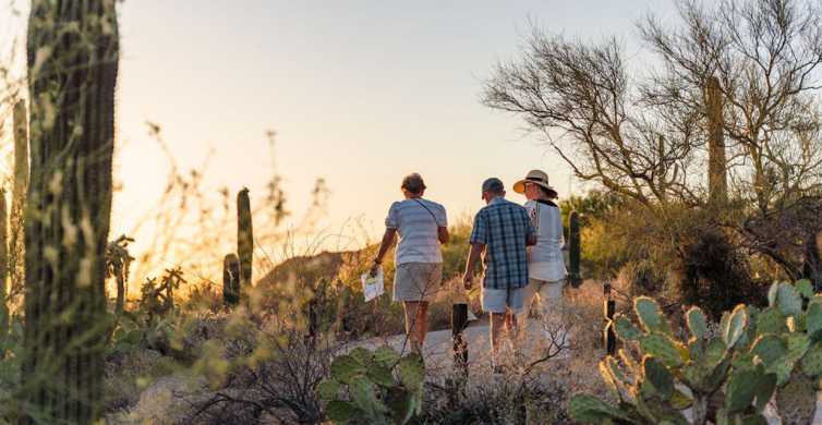 The Best Tucson Interactive Tours
