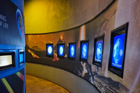 Johannesburg: Cradle Of Humankind & Fossil Discovery Tour