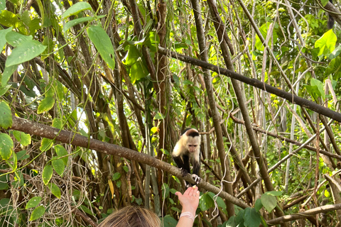 Panamá : Tour en bateau et faune sur le lac Gatun