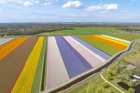 Amsterdam: Ultimate 7-Day Private guided Netherlands tour