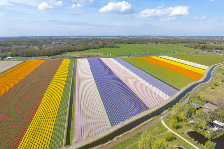 Amsterdam: Ultimate 7-Day Private guided Netherlands tour