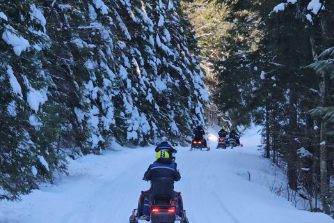 ATV or Snowmobile ride in the mountains from Bucharest