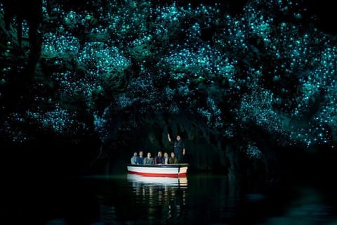 Waitomo: Glowworm Caves Guided Tour by Boat - Image 2