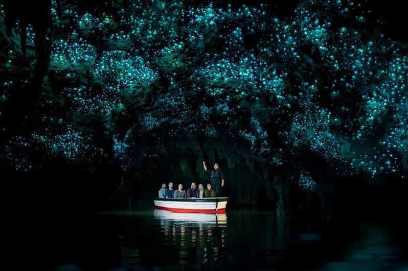Waitomo: Glowworm Caves Guided Tour by Boat