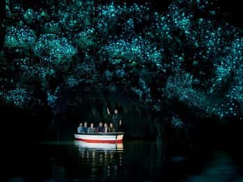 Waitomo Glowworm Caves, giro in barca