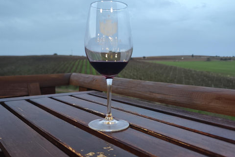 Évora: Prova de vinhos e visita cultural