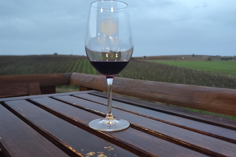 Évora: Prova de vinhos e visita cultural