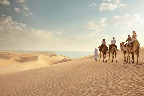 Qatar : Morning or Afternoon Desert Safari