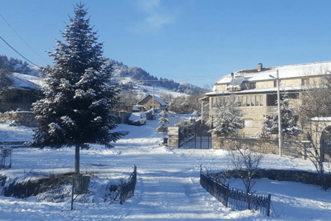 Depuis Tirana/Durrës : Excursion à Pogradec, Korça et Voskopoja