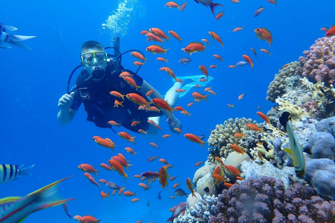 Hurghada: Beginner Diving Trip with Lunch, Transfer & Gear Boat Cruise with 2 Snorkeling Sites with Lunch & Transfer