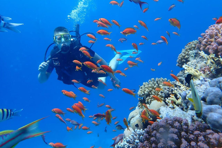 Hurghada: Beginner Diving Trip with Lunch, Transfer & Gear Boat Cruise with 2 Snorkeling Sites with Lunch & Transfer