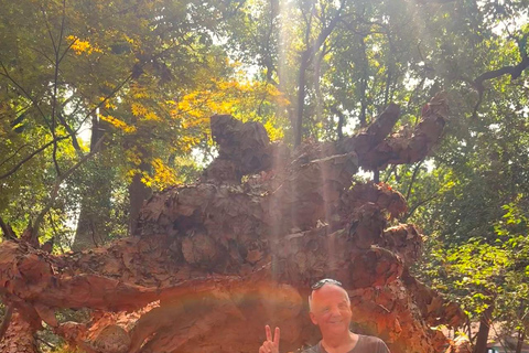 Shanghai: Hangzhou Day Trip with West Lake & Lingyin Temple Shanghai: Hangzhou Guided Day Trip By Bullet Train