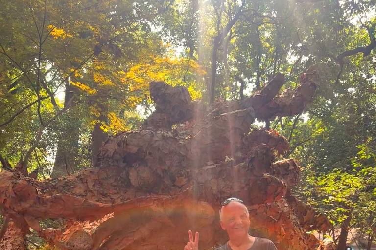 Shanghai: Hangzhou Day Trip with West Lake & Lingyin Temple Shanghai: Hangzhou Guided Day Trip By Bullet Train