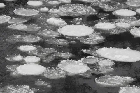 Rwące rzeki Parku Narodowego Oulanka na rakietach śnieżnych
