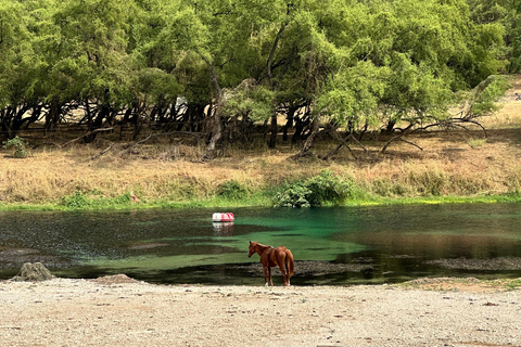 Salalah: Wadi Derbat, Jabal Samhan, & Sink Hole Private Tour