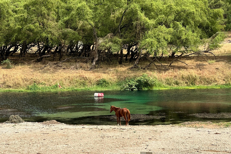 Salalah: Wadi Derbat, Jabal Samhan, &amp; Sinkhole Private Tour