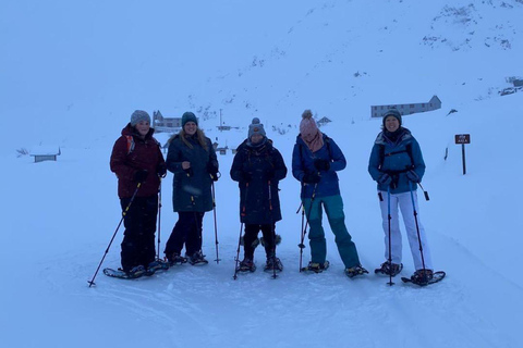 Alasca: Aventura com raquetes de neve só para senhoras