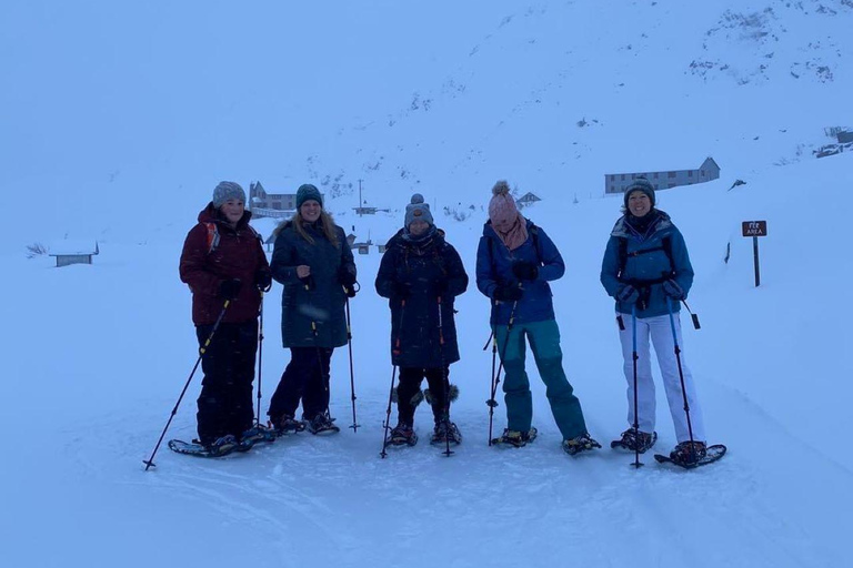 Alasca: Aventura com raquetes de neve só para senhoras