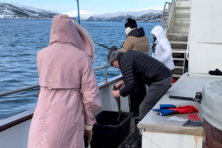 Tromsø:Arktische Fischerei & Meeresfrüchte Fjordkreuzfahrt auf LuxusyachtTromsø: Luxuriöse Kreuzfahrt zum Fischen und für Meeresfrüchte