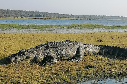 Operador turístico, cruceros fluviales y safaris en Chobe