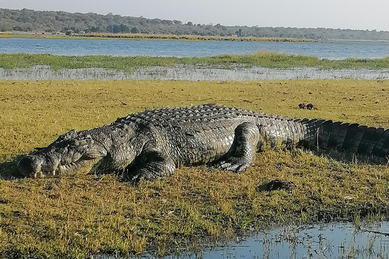 Operador turístico, cruceros fluviales y safaris en Chobe