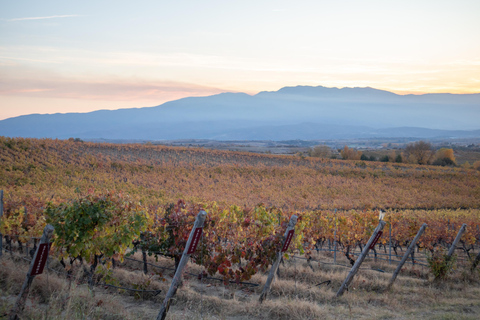 Sofia: Sandanski and Pozar Thermal Escape 9-Day Spa Tour